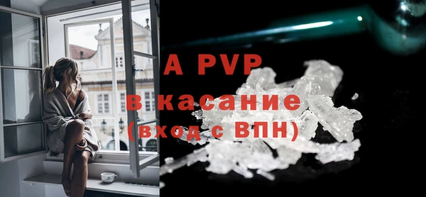 apvp Инсар