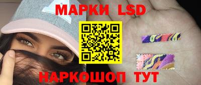 стафф Донской