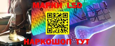 стафф Донской