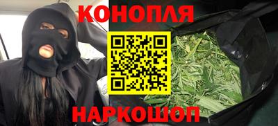 стафф Донской