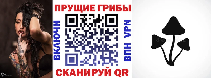 гидра рабочий сайт  Кыштым  Псилоцибиновые грибы прущие грибы 