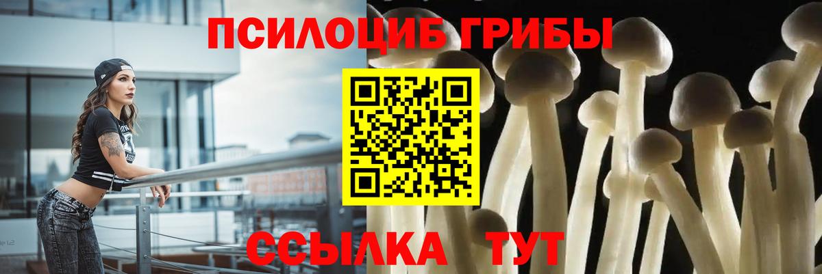 Галлюциногенные грибы мухоморы Кыштым
